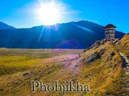 Serene Phobjikha (Gangtey)